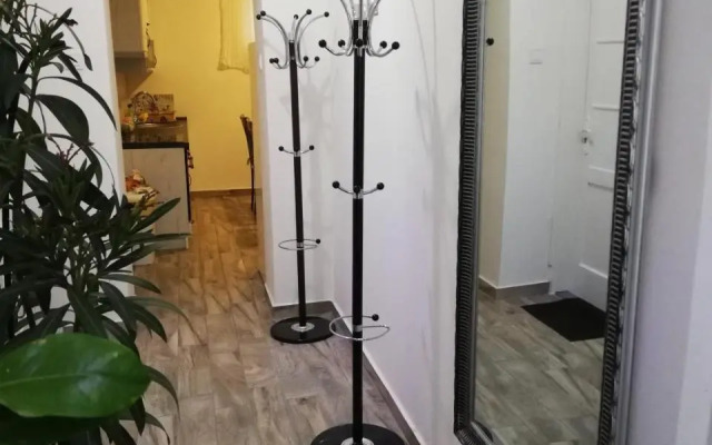 Örökzöld Apartman Szeged