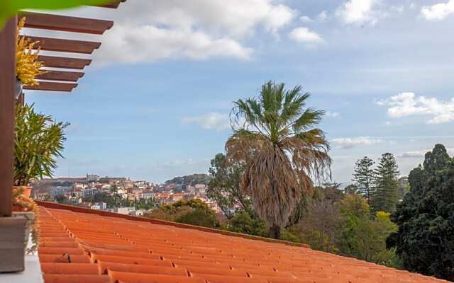 Overlooking Botanic Garden And Castle