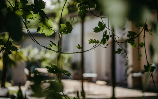 Turm am Schlosspark Eisenstadt