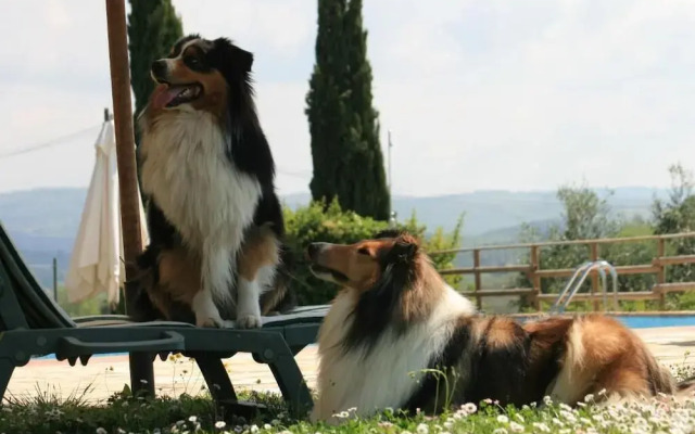 Agriturismo il Torrione