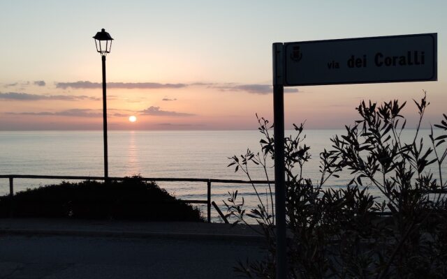 a Vacation That Becomes a Dream