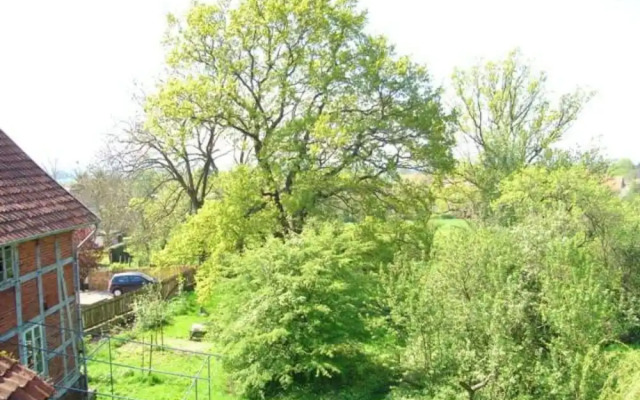 The Large Holiday Apartment