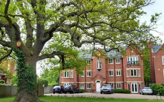 8 Longbourn
