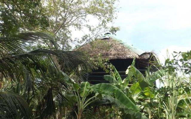 Kumbuk Tree House