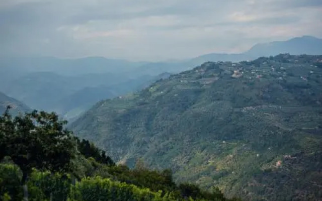 Terre Bianche Agriturismo