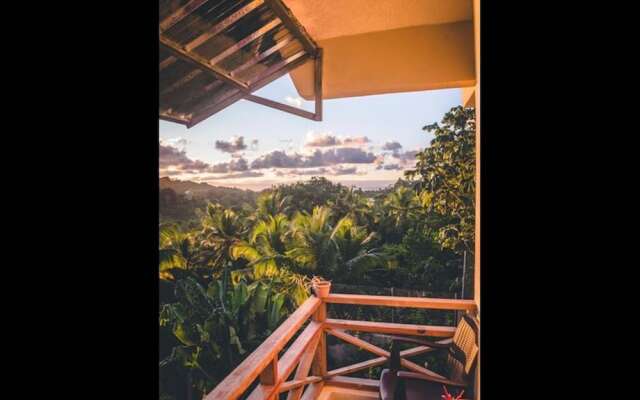 Great Palm View - Apartment 3 in Villa Coconut
