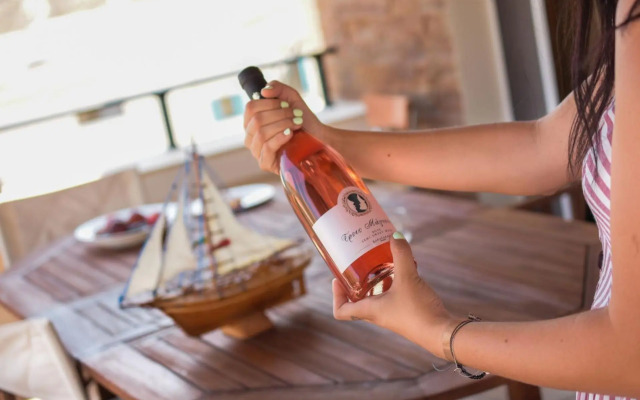 Marys Beachfront Villa