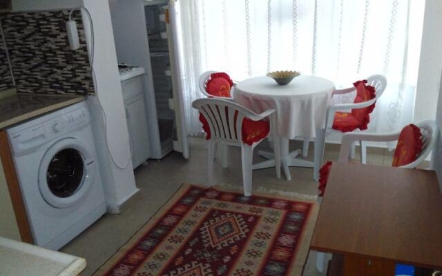 Erikli Tatil Evi 1