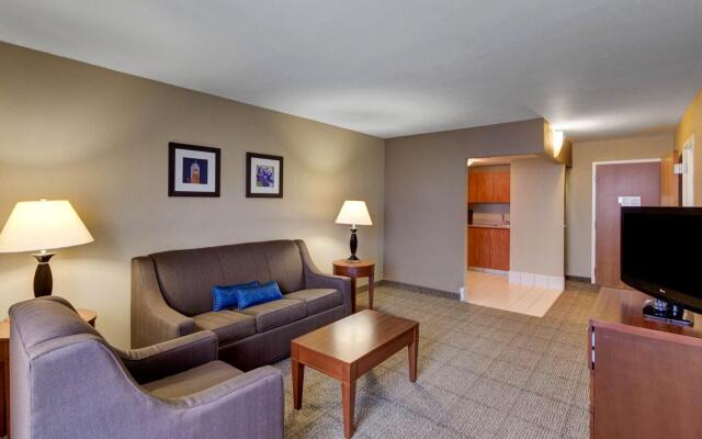 Comfort Inn and Suites Plano East