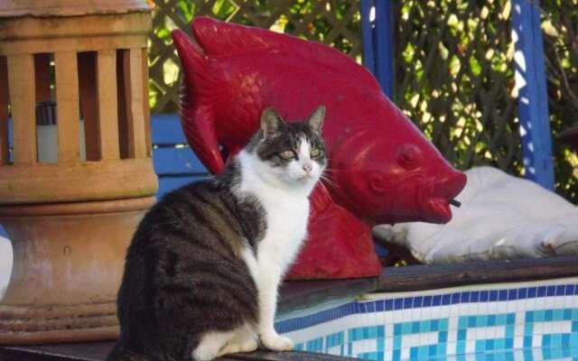 Chambres d'hôtes La Maison Bleue