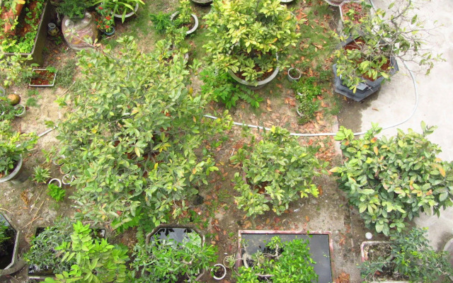 Charming Homestay