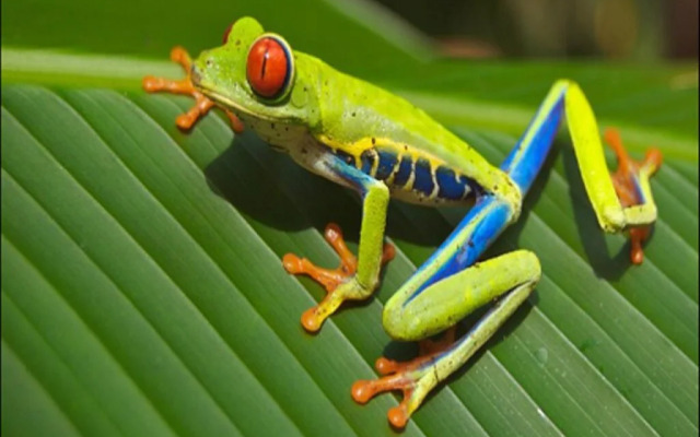 Wild Woods Spa & Resort