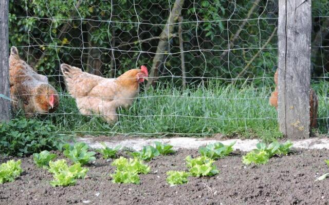 Balkonpe Landa Etxea