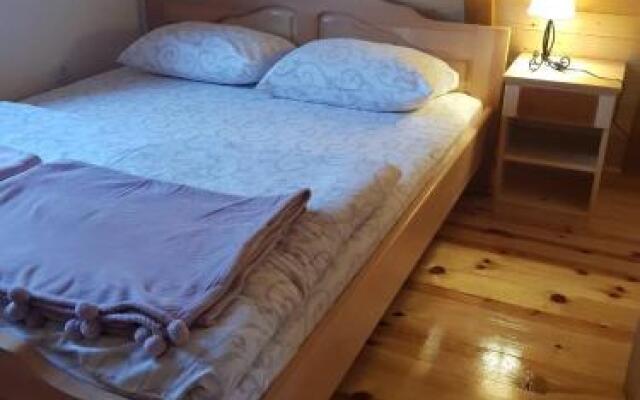 Mountain House Tara Apartmani Nikolic