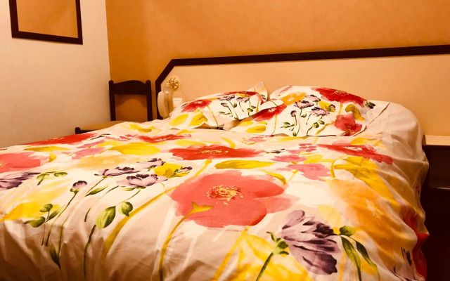 Hotel Myosotis