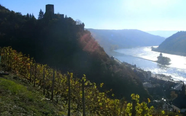 Weingut Am Löwenkopf