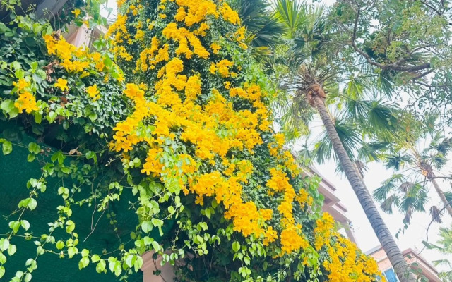 Phuranya Resort