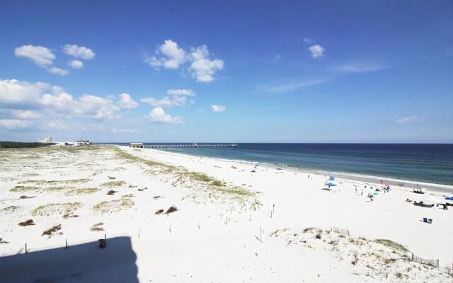 Royal Palms 501 by RedAwning