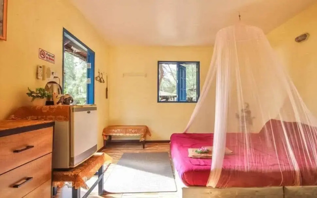 Micky Monkey Beach Hotel Phuket Maikhao Thailand