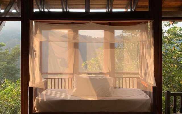 The Shorea