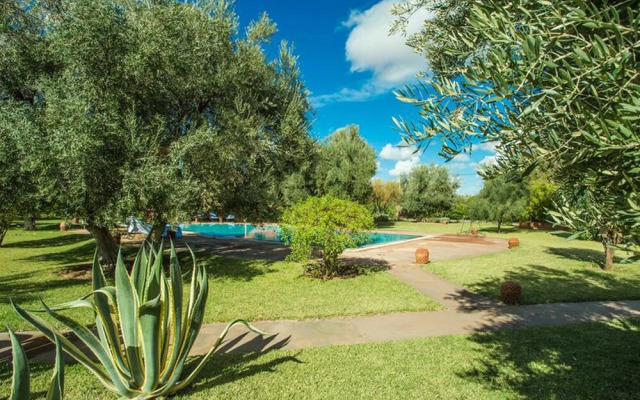 Villa les Oliviers 2 Bedrooms - A Setting of Tranquility