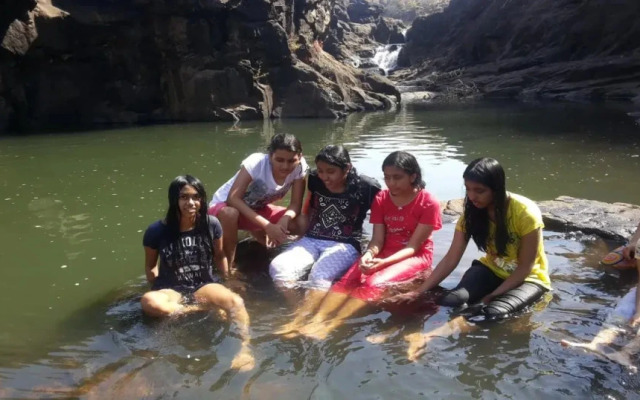 Nature Leap Resort