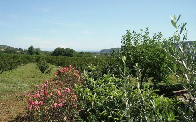 Agriturismo Vecchio Gelso