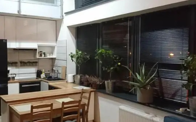 Apartament Loft 100 m2 Centrum Bydgoszcz