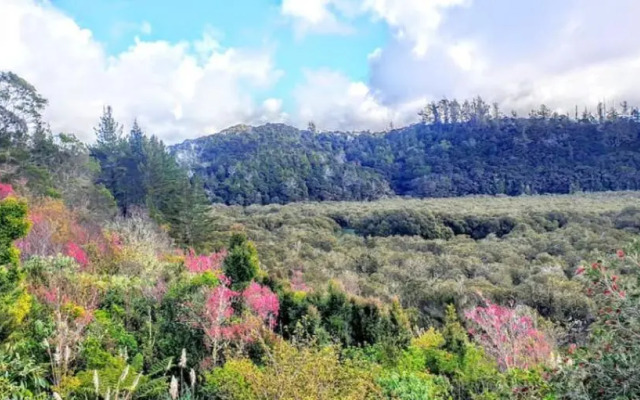 Unique Estuary & Bird Apartment in Te Haumi Paihia