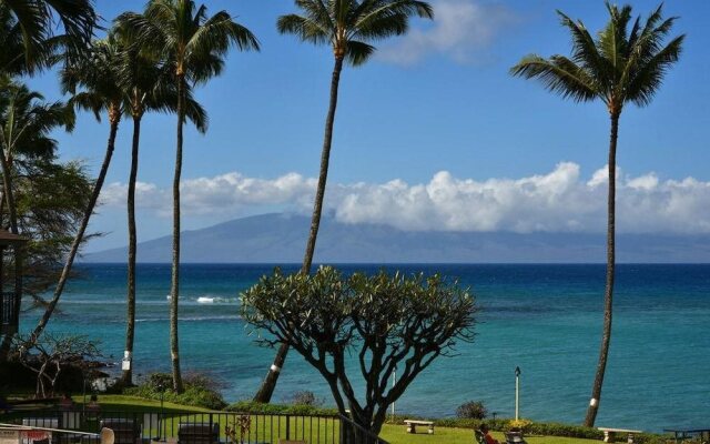 Polynesian Shores