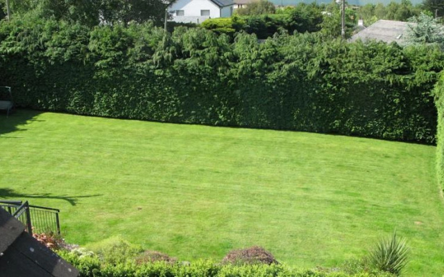 Firtrees Bed & Breakfast