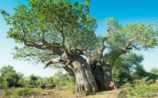 EcoTraining Makuleke Camp