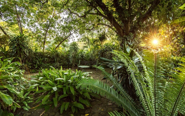 Wendys Country Lodge