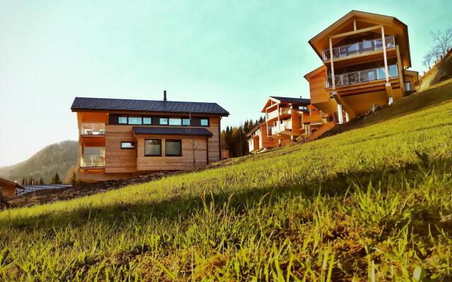 Luscious Chalet in Schladming with infrared or Finnish Sauna