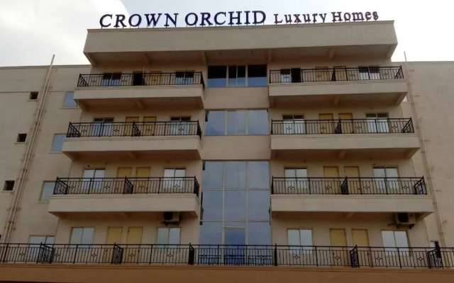 Crown Orchid
