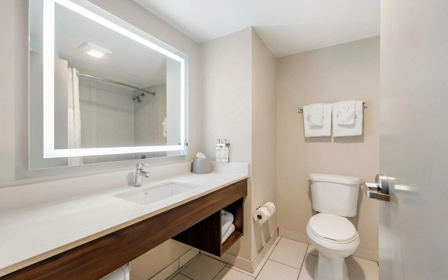 Holiday Inn Express & Suites Nashville Southeast - Antioch by IHG