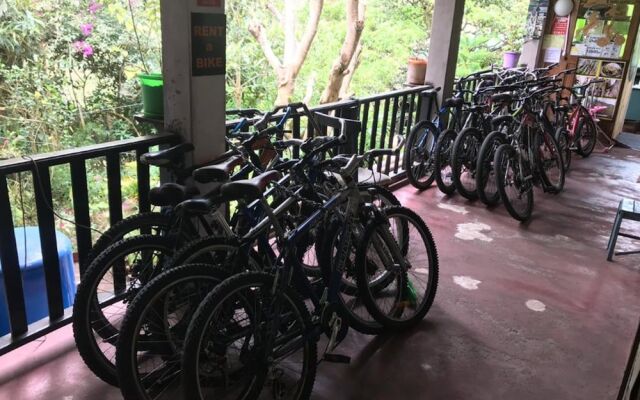 Backpackers Balcones