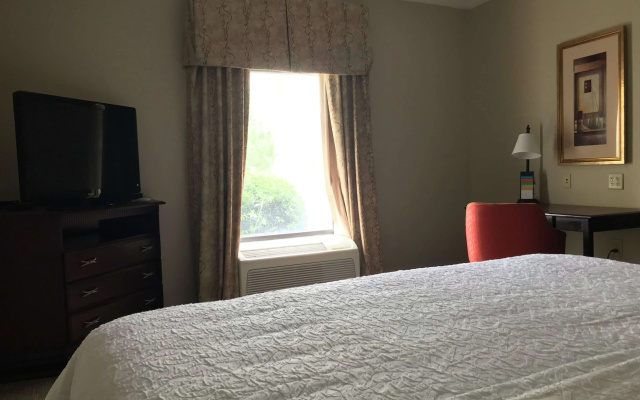 Hampton Inn Vidalia