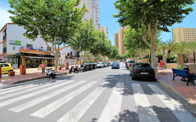 Rinconada Real 235