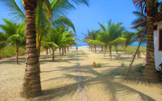 Coconut Hotel and Surf Hostel