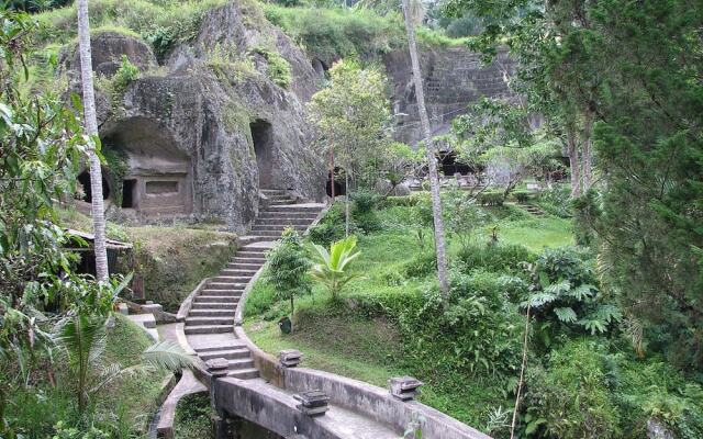 Backpacker Ubud Room's