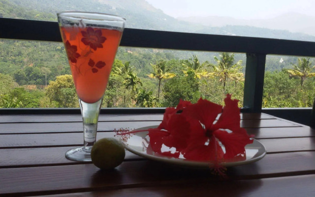 Mistletoe Munnar