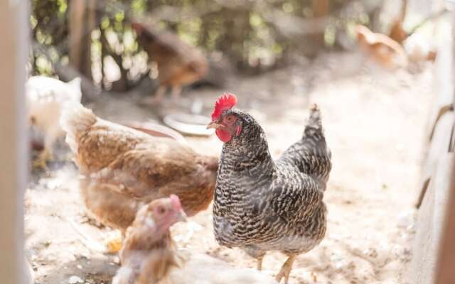 Gasthaus Pension Hofmann