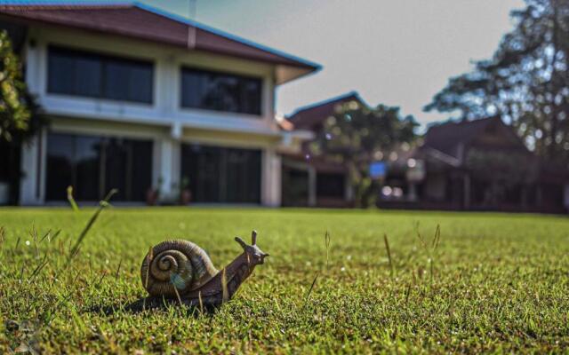 Serenity1 Homestay