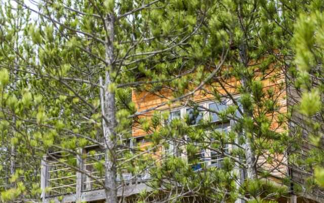 Terre des Baronnies. Cabanes