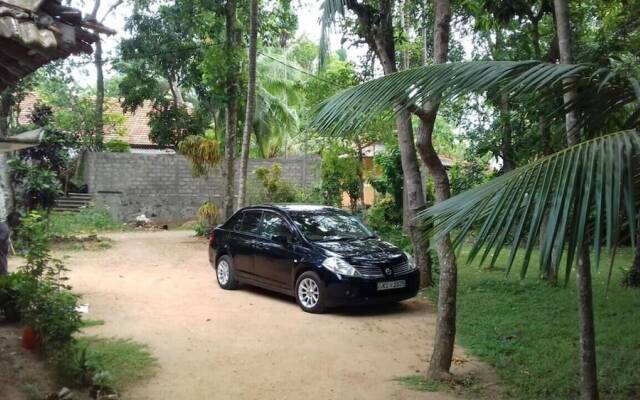 Mango Tree Rooms