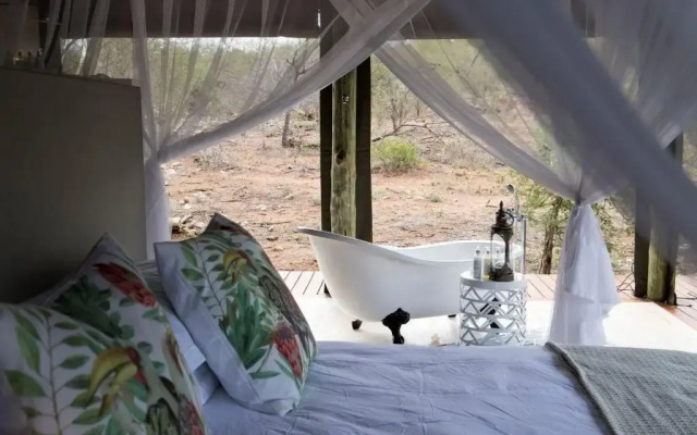 Raptor Retreat Game Lodge