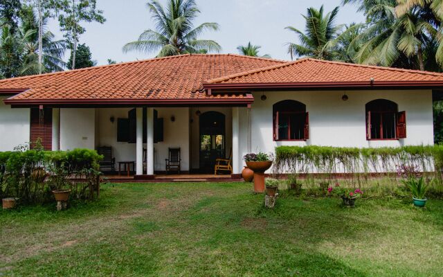 Coconut Treehouse