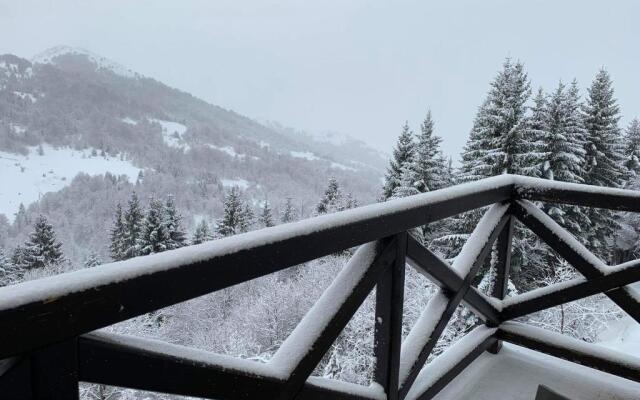 Apartment A13 Kopaonik