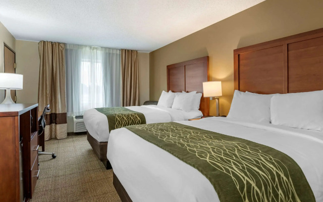 Comfort Inn & Suites Diamondale – Lansing